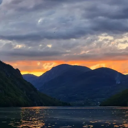 Floating Апартаменты Radenovici